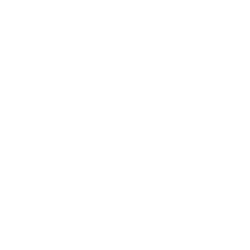 simbolo_camper_bianco